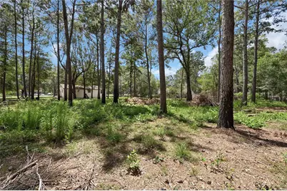 211 Walter Drive, Cleveland, TX 77328 - Photo 18