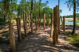 22061 Gateway Arch Dr, Porter, TX 77365 - Photo 12