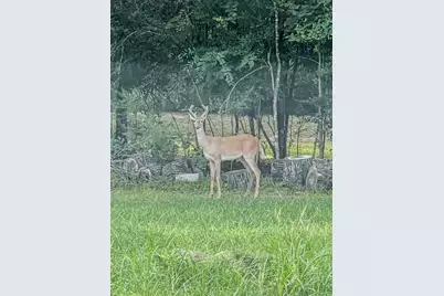 26615 South Creek Drive, Magnolia, TX 77354 - Photo 50