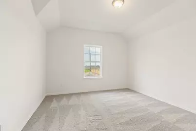 2805 Ruby Laurel Drive, Rosharon, TX 77583 - Photo 30