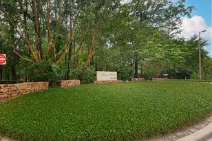 23 Hillock Woods, The Woodlands, TX 77380 - Photo 42