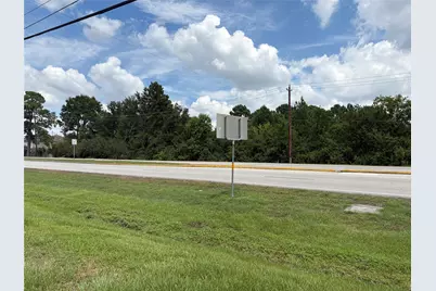 1219 Texas Pkwy, Missouri City, TX 77489 - Photo 6