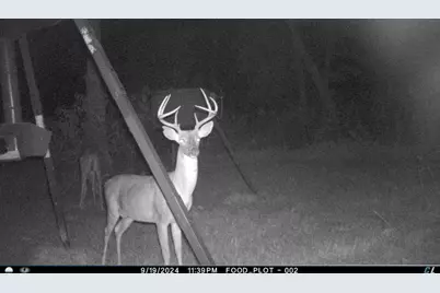 143 Private Road 440, Buffalo, TX 75831 - Photo 42