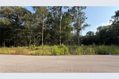 221 County Road 6311, Dayton, TX 77535 - Photo 1