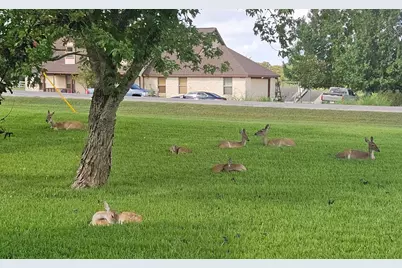 2701 Bluebonnet Boulevard, Brenham, TX 77833 - Photo 44