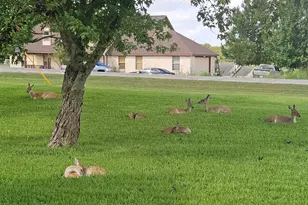 2701 Bluebonnet Blvd, Brenham, TX 77833 - Photo 44