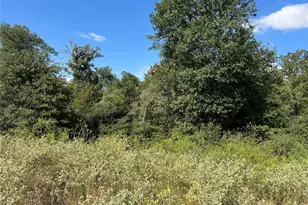 00 Cr 322, Jewett, TX 75846 - Photo 1