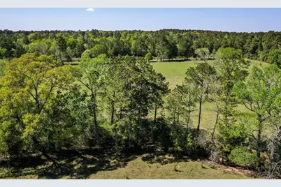 0 Black Jack Cemetery Road, Huntsville, TX 77340 - Photo 8