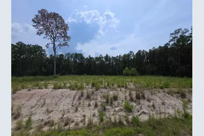 139 Rayburn Reserve Drive, Jasper, TX 75931 - Photo 2