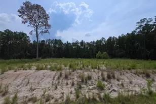 139 Rayburn Reserve Dr, Jasper, TX 75931 - Photo 2