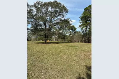 4761 Jackson Road, Montgomery, TX 77316 - Photo 2