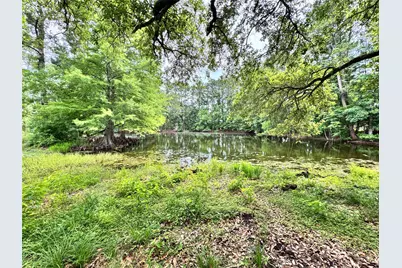 4761 Jackson Road, Montgomery, TX 77316 - Photo 6