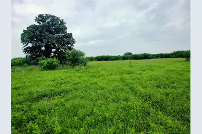 Tbd County Road 108, Iola, TX 77861 - Photo 6