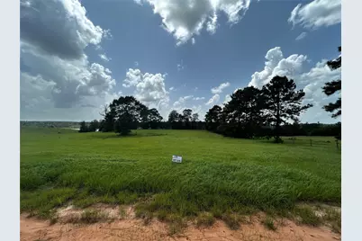 Lot 329 Madison Lake Loop, Hillister, TX 77624 - Photo 2