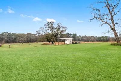 18226 Fm 1484 Road, Conroe, TX 77303 - Photo 4