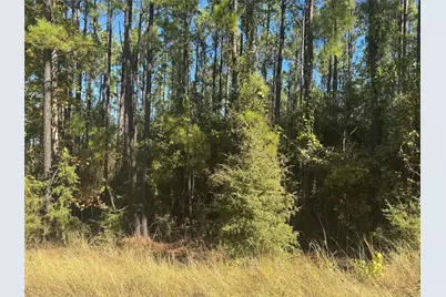 004 County Road 219, Brookeland, TX 75931 - Photo 2