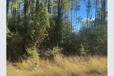 004 County Road 219, Brookeland, TX 75931 - Photo 4