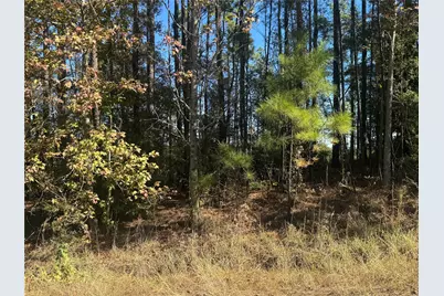 004 County Road 219, Brookeland, TX 75931 - Photo 6