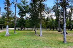 22740 Brazos Cir, Damon, TX 77430 - Photo 2