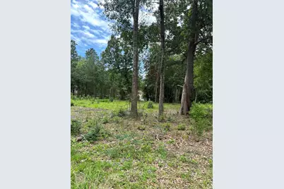 12 Timberglen, Livingston, TX 77351 - Photo 4