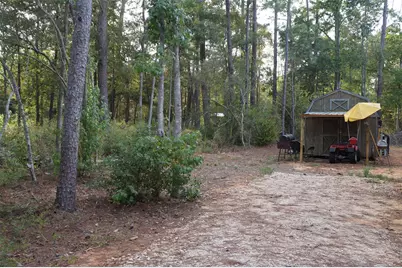 650 Thousand Oaks, Livingston, TX 77351 - Photo 2