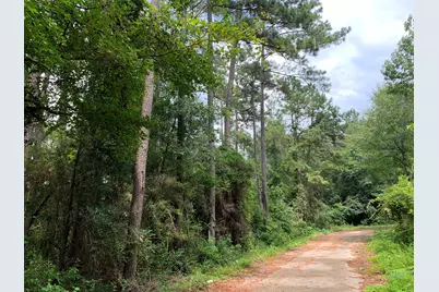 Lot 14 Bluebonnet Street, Newton, TX 75966 - Photo 4