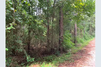 Lot 14 Bluebonnet Street, Newton, TX 75966 - Photo 2