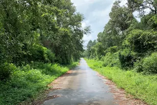 Lot 14 Bluebonnet St, Newton, TX 75966 - Photo 1