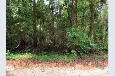 Lot 14 Bluebonnet Street, Newton, TX 75966 - Photo 6