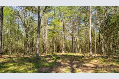 000 Bighorn Road, Huntsville, TX 77358 - Photo 22