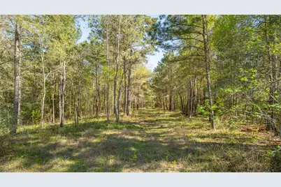 000 Bighorn Road, Huntsville, TX 77358 - Photo 2