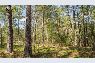 000 Bighorn Road, Huntsville, TX 77358 - Photo 14