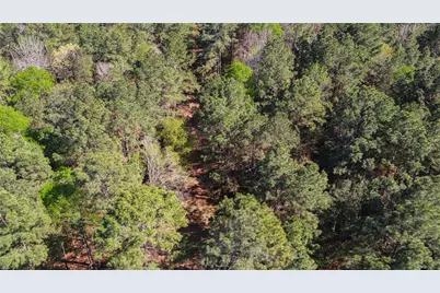 000 Bighorn Road, Huntsville, TX 77358 - Photo 34