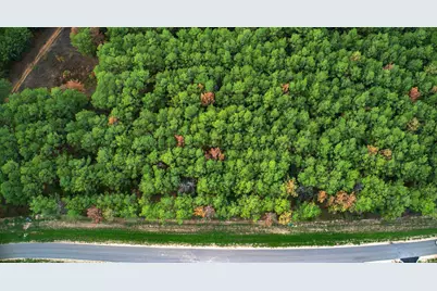 10886 Ruger Road, Willis, TX 77378 - Photo 6