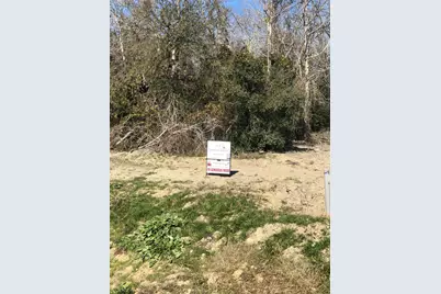 000 Lot 27 Winding Branch Lane, Chappell Hill, TX 77426 - Photo 8