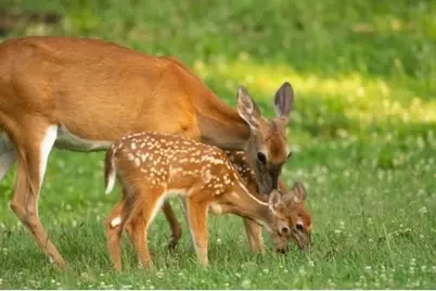 000 Lot 27 Winding Branch Lane, Chappell Hill, TX 77426 - Photo 18