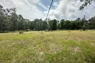 2229 Meekins Rd, Cleveland, TX 77328 - Photo 42