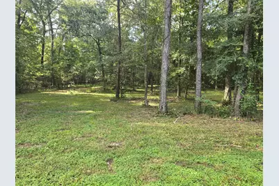 000 Tbd Hwy 150 W, Coldspring, TX 77331 - Photo 4