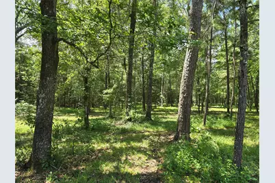 000 Tbd Hwy 150 W, Coldspring, TX 77331 - Photo 1