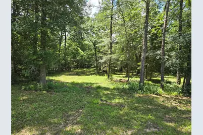 000 Tbd Hwy 150 W, Coldspring, TX 77331 - Photo 4