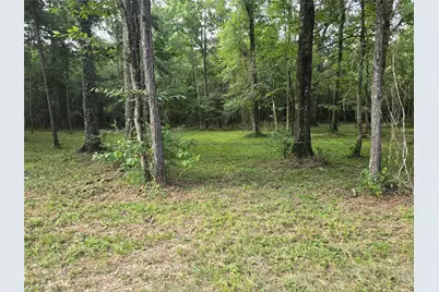 000 Tbd Hwy 150 W, Coldspring, TX 77331 - Photo 16