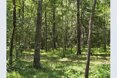 000 Tbd Hwy 150 W, Coldspring, TX 77331 - Photo 8