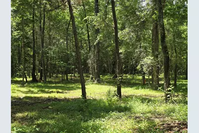 000 Tbd Hwy 150 W, Coldspring, TX 77331 - Photo 10
