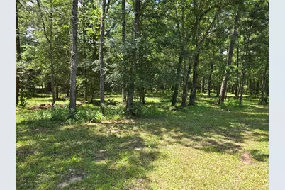 000 Tbd Hwy 150 W, Coldspring, TX 77331 - Photo 6