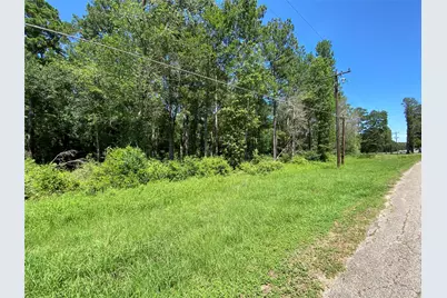 19725 W Lakeshore Drive, Magnolia, TX 77354 - Photo 2