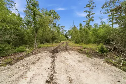 9983 US Hwy 287 E, Corrigan, TX 75939 - Photo 12
