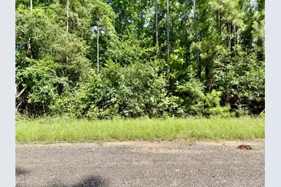 Tbd Spring Creek Drive, Coldspring, TX 77331 - Photo 1