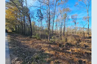 Lot 4 Sherwood Drive, Shepherd, TX 77371 - Photo 16