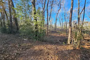 Lot 4 Sherwood Dr, Shepherd, TX 77371 - Photo 1