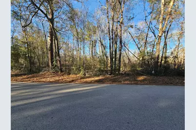Lot 4 Sherwood Drive, Shepherd, TX 77371 - Photo 4